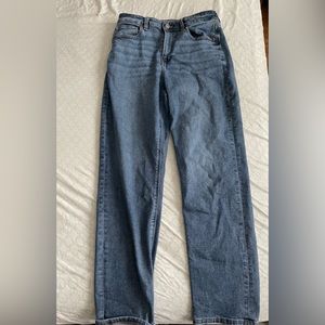 AE Size 8 Mom Jean